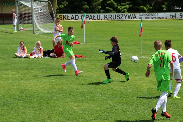 组织类似的 组织类似的