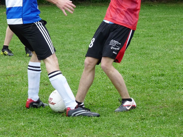 海姆的防线 海姆的防线