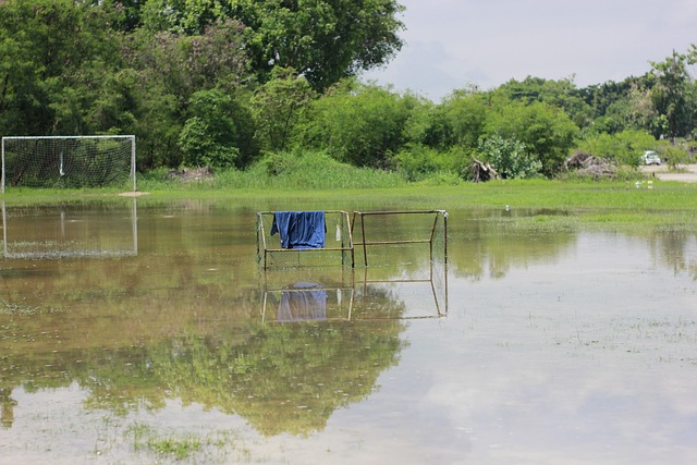 依然可能找 依然可能找