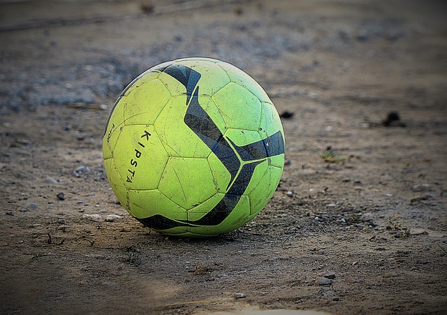 力的重要组 力的重要组