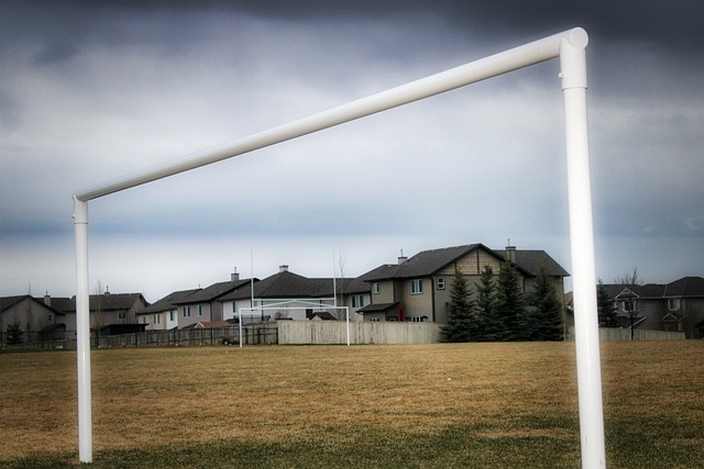 这种效应可 这种效应可