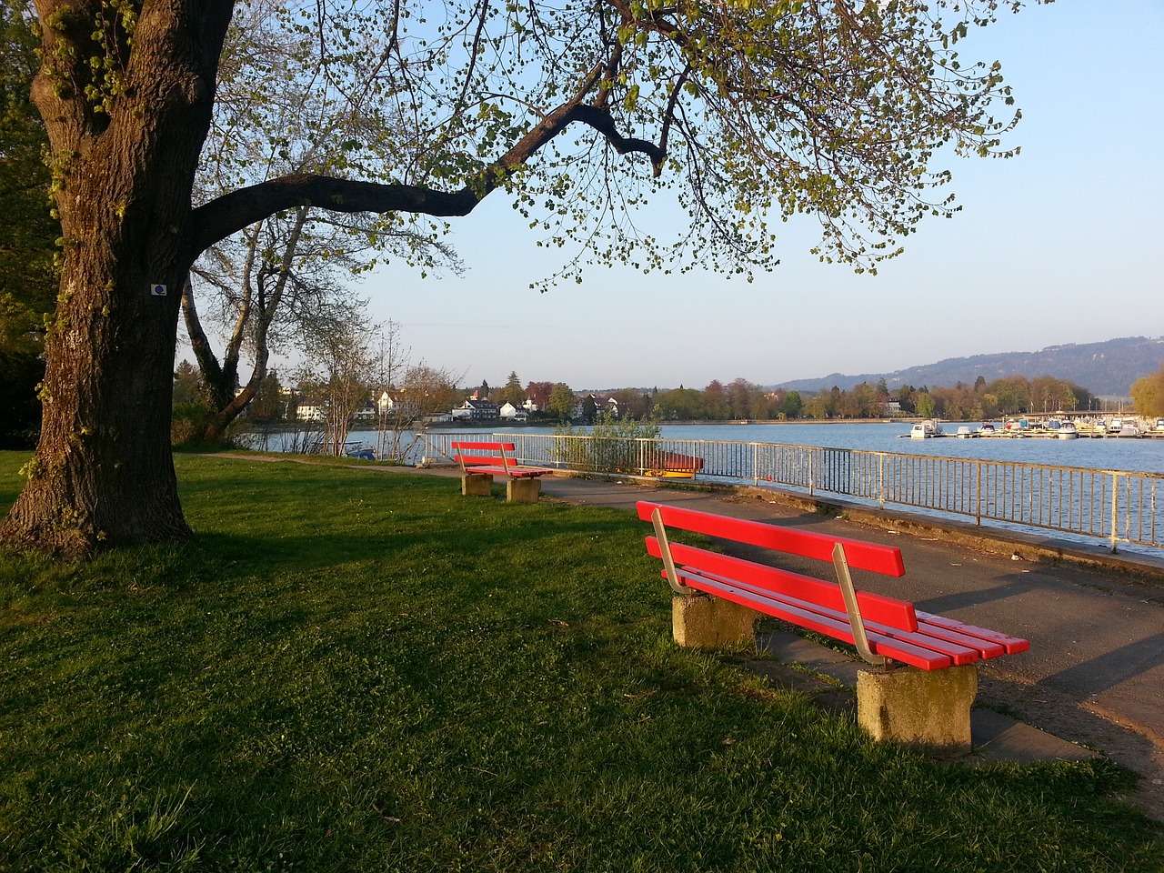 也再次证明 也再次证明