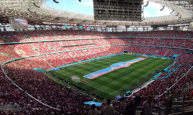 在金元足球 在金元足球