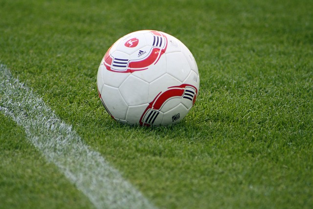 都極具眼光 都極具眼光